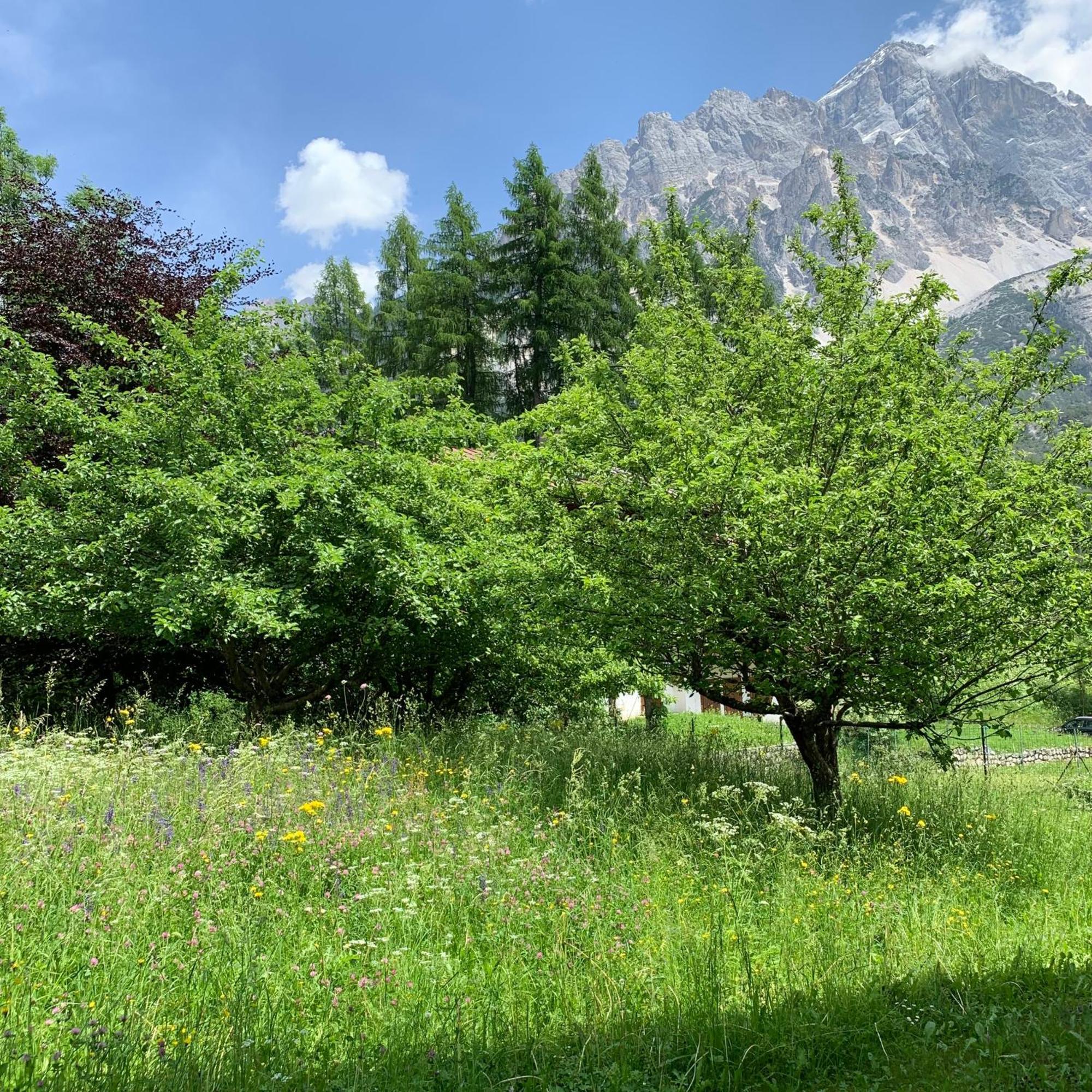 Piccolo Gioiello Di Montagna Daire Villanova  Dış mekan fotoğraf